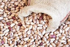 دلایل گرانی غیرعادی قیمت لوبیا چیتی/ «حباب» به حبوبات هم رسید!