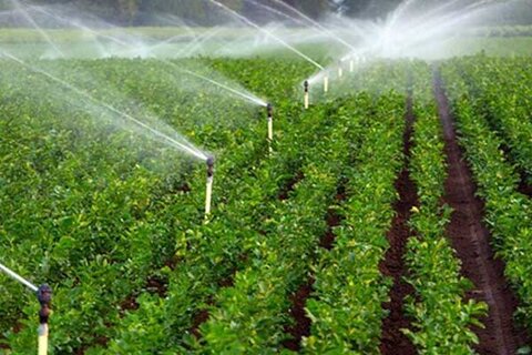 کشاورزی ۸۰ میلیارد متر مکعب آب مصرف می‌کند