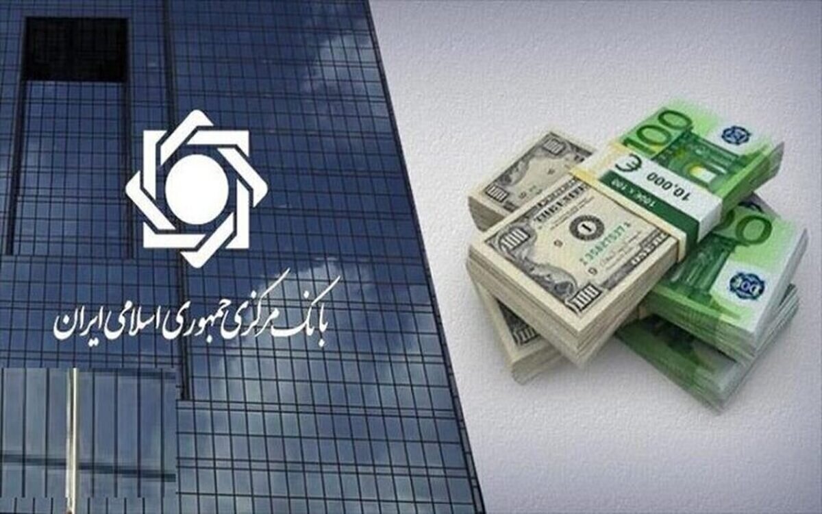 تامین ارز سال ۱۴۰۴ از ۸ میلیارد دلار گذشت/ سهم ۶ میلیاردی صنایع
