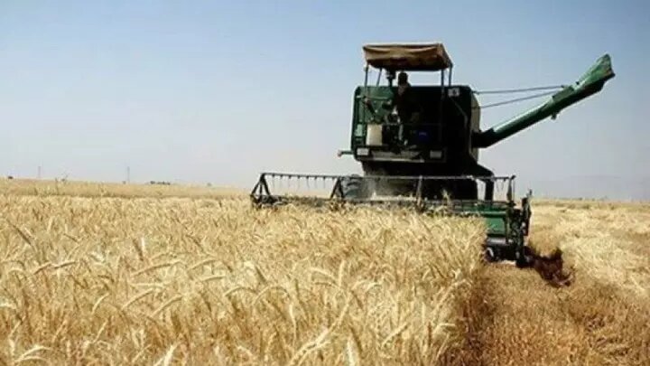 خرید تضمینی گندم به ۲ میلیون و ۲۰۰ هزارتن رسید