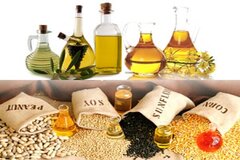 قزاقستان؛ پایگاه جدید کشاورزی فرامرزی ایران در تولید دانه‌های روغنی